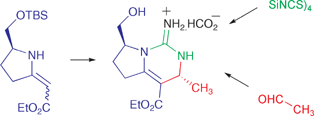 Graphical abstract: Studies towards the total synthesis of batzelladine A