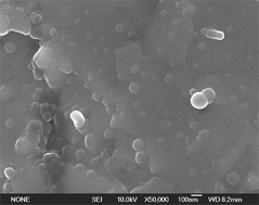 Graphical abstract: Manufacture and electrical properties of multiwalled carbon nanotube/BaTiO3 nanocomposite ceramics