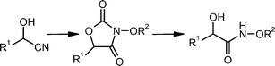 Graphical abstract: O-Protected 3-hydroxy-oxazolidin-2,4-diones: novel precursors in the synthesis of α-hydroxyhydroxamic acids