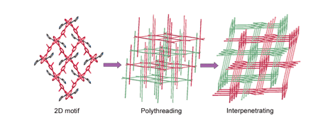 Graphical abstract: From arm-shaped layers to a new type of polythreaded array: a two fold interpenetrated three-dimensional network with a rutile topology