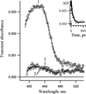 Graphical abstract: A study of 2-azido-3,5-dichlorobiphenyl by nano- and picosecond laser flash photolysis and computational methods