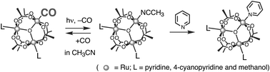 Graphical abstract: Photodissociation of CO from [Ru3(μ3-O)(μ-OOCCH3)6(CO)L2] in acetonitrile, where L = pyridine, 4-cyanopyridine and methanol