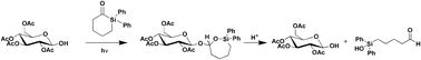 Graphical abstract: Facile photochemical synthesis of mixed siloxyacetal glycosides as potential pH-sensitized prodrugs for selective treatment of solid tumors
