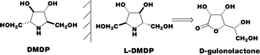 Graphical abstract: Looking glass inhibitors: l-DMDP, a more potent and specific inhibitor of α-glucosidases than the enantiomeric natural product DMDP