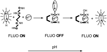 Graphical abstract: Three-component systems for conventional and window-shaped response fluorescent pH indicators