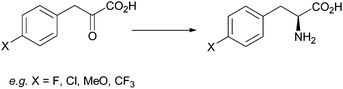 Graphical abstract: Enantioselective synthesis of non-natural amino acids using phenylalanine dehydrogenases modified by site-directed mutagenesis