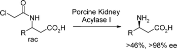 Graphical abstract: The first aminoacylase-catalyzed enantioselective synthesis of aromatic β-amino acids