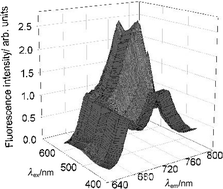 Graphical abstract: True fluorescence spectra of leaves