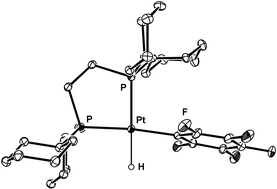 Graphical abstract: Synthesis, molecular structures, and chemistry of some new palladium(ii) and platinum(ii) complexes with pentafluorophenyl ligands