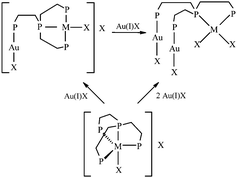 Graphical abstract: Ring-opening reactions induced by gold(i) of five- and four-coordinate palladium(ii) and platinum(ii) complexes containing tripodal or linear polyphosphines