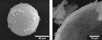 Graphical abstract: Porous TiO2 hollow spheres by liquid phase deposition on polystyrene latex-stabilised Pickering emulsions