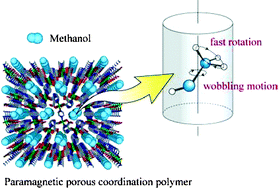 Graphical abstract: Motion of methanol adsorbed in porous coordination polymer with paramagnetic metal ions
