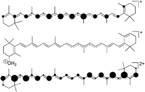 Graphical abstract: Nucleophilic reactions of charge delocalised carotenoid mono- and dications