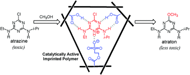 Graphical abstract: Atrazine transformation using synthetic enzymes prepared by molecular imprinting