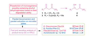 Graphical abstract: Rapid identification of new bacterial alcohol dehydrogenases for (R)- and (S)-enantioselective reduction of ß-ketoesters