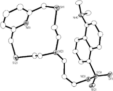 Graphical abstract: A new pyridine-based 12-membered macrocycle functionalised with different fluorescent subunits; coordination chemistry towards CuII, ZnII, CdII, HgII, and PbII