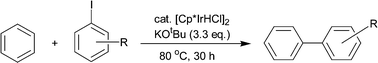 Graphical abstract: Direct arylation of aromatic C–H bonds catalyzed by Cp*Ir complexes