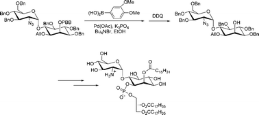 Graphical abstract: A Suzuki–Miyaura coupling mediated deprotection as key to the synthesis of a fully lipidated malarial GPI disaccharide