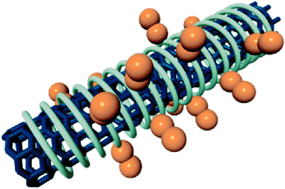 Graphical abstract: Single-walled carbon nanotubes acquire a specific lectin-affinity through supramolecular wrapping with lactose-appended schizophyllan