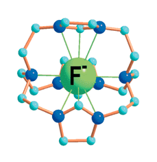 Graphical abstract: Imidazolidinium-based robust crypt with unique selectivity for fluoride anion