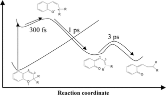 Graphical abstract: Dynamics of the excited states of chromenes studied by fast and ultrafast spectroscopies