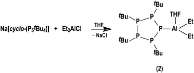 Graphical abstract: The reactivity of cyclo-(P5tBu4)− towards group 13, 14 and 15 metal chlorides: complexation and formation of cyclooligophosphanes, {cyclo-(P5tBu4)}2 and {cyclo-(P4tBu3)PtBu}2, by reductive elimination