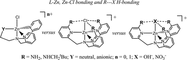 Graphical abstract: LZnX complexes of tripodal ligands with intramolecular RN–H hydrogen bonding groups: structural implications of a hydrogen bonding cavity, and of X/R in the hydrogen bonding geometry/strength