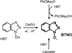 Graphical abstract: Spectrophotometric, EPR and kinetic characterisation of the >N–O• radical from 1-hydroxybenzotriazole, a key reactive species in mediated enzymatic oxidations