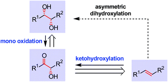Graphical abstract: The RuO4-catalysed dihydroxylation, ketohydroxylation and mono oxidation—novel oxidation reactions for the synthesis of diols and α-hydroxy ketones