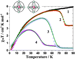 Graphical abstract: Atypical photomagnetic properties in a series of binuclear iron(ii) spin crossover complexes