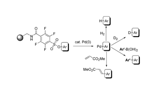 Graphical abstract: A ‘triflate-like’ tetrafluoroarylsulfonate linker for multifunctional solid-phase organic synthesis