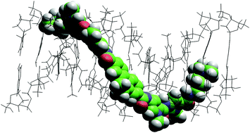 Graphical abstract: Synthesis and antimicrobial activity of some netropsin analogues
