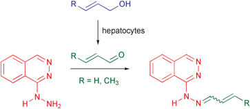 Graphical abstract: Reactivity of hydrazinophthalazine drugs with the lipid peroxidation products acrolein and crotonaldehyde