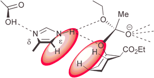 Graphical abstract: Is the ring conformation the most critical parameter in lipase-catalysed acylation of cycloalkanols?