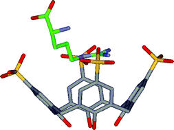 Graphical abstract: A new packing motif for para-sulfonatocalix[4]arene: the solid state structure of the para-sulfonatocalix[4]arene d-arginine complex
