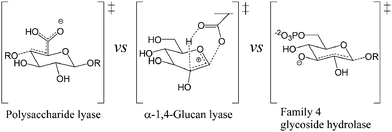 Graphical abstract: Nature's many mechanisms for the degradation of oligosaccharides