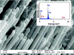 Graphical abstract: Silver nanowires by a sonoself-reduction template process