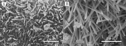 Graphical abstract: A facile synthesis of single-crystal mullite nanobelts