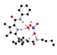 Graphical abstract: Anion binding properties of 5,5′-dicarboxamido-dipyrrolylmethanes