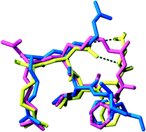 Graphical abstract: Design, synthesis, biological activity and structural analysis of cyclic peptide inhibitors targeting the substrate recruitment site of cyclin-dependent kinase complexes