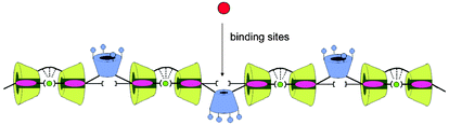 Graphical abstract: A metallo-capped polyrotaxane containing calix[4]arenes and cyclodextrins and its highly selective binding for Ca2+