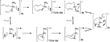 Graphical abstract: [RhIL]-catalyzed cyclotetramerization of 1,3-butadiene: a theoretical investigation of alternative mechanistic paths for the generation of the [RhIII(octadienediyl)(PR3)]+ complex