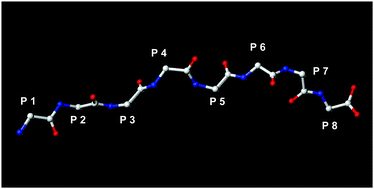 Graphical abstract: New horizons in mouse immunoinformatics: reliable in silico prediction of mouse class I histocompatibility major complex peptide binding affinity