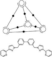 Graphical abstract: Structures and anion-binding properties of M4L6 tetrahedral cage complexes with large central cavities