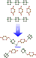 Graphical abstract: Transition from a charge-opposed(+)N-H–N(+) inter-cation hydrogen bonded form of the salt [HN(CH2CH2)3N][OOC(HC [[double bond, length as m-dash]] CH) COOH] to the more traditional charge-assisted(+)N-H–O(−) cation-anion hydrogen bonded pseudo-polymorph upon hydration