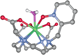Graphical abstract: Lanthanide(iii) complexes of a pyridine N-oxide analogue of DOTA: exclusive M isomer formation induced by a six-membered chelate ring