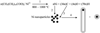 Graphical abstract: Direct conversion of nickel stearate into carbon nanotubes or pure-phase metallic Ni nanoparticles encapsulated in polyhedral graphite cages