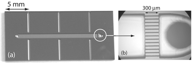 Graphical abstract: Catalyst surface characterization in microfabricated reactors using pulse chemisorption