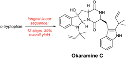 Graphical abstract: A concise total synthesis of (+)-okaramine C