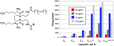 Graphical abstract: Effect of chain length on transfection properties of spermine-based gemini surfactants